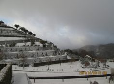 バス通り：8区4番墓所風景