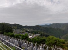 階段墓域・8区4/5番墓所枝道からの風景