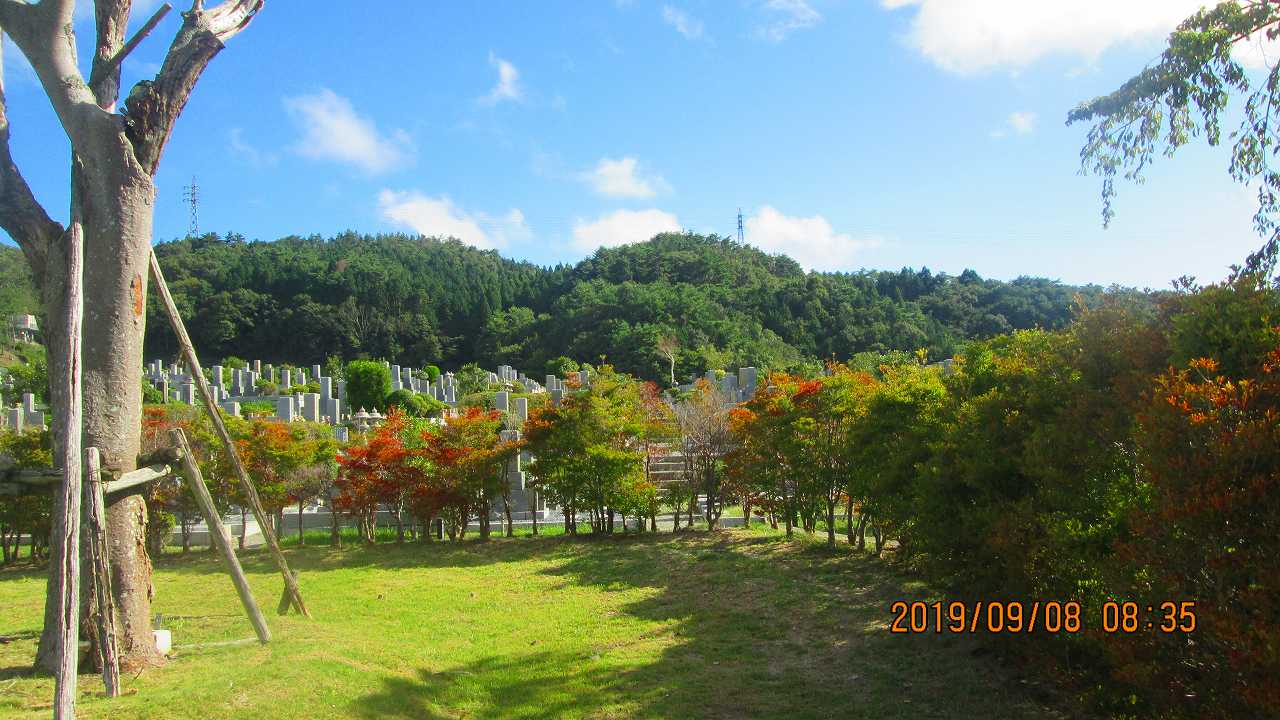 臨時駐車場～北東風景～撮影