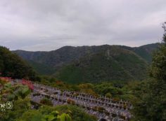 階段墓域・5区3番墓所風景