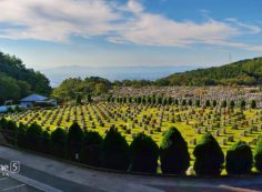 芝生墓所・11区2番墓所風景