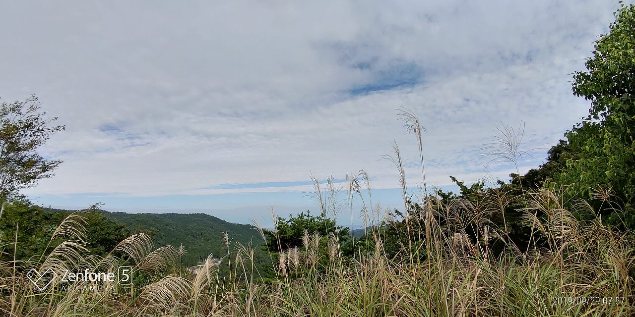 11区墓域裏道からの風景（すすき）