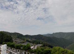 階段墓域・8区4/5番墓所枝道からの風景