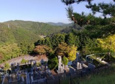 階段墓域・3番枝道～6区4番風景