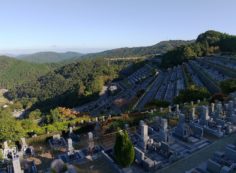 階段墓域・7区3番墓所上段駐車場～風景