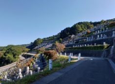 階段墓域・3番枝道からの風景