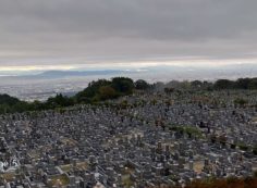 11区1番墓所～朝の風景