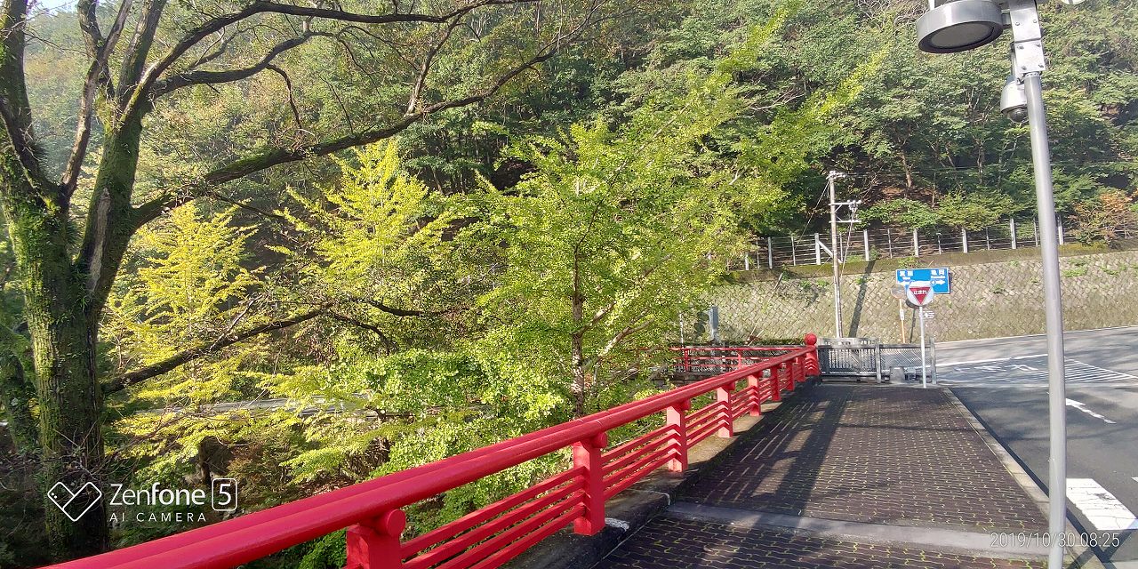 霊園入口・明王橋と銀杏風景