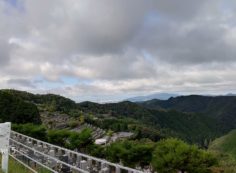 階段墓域・8区4/5番墓所枝道からの風景