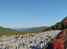 11区7番からの園内北風景