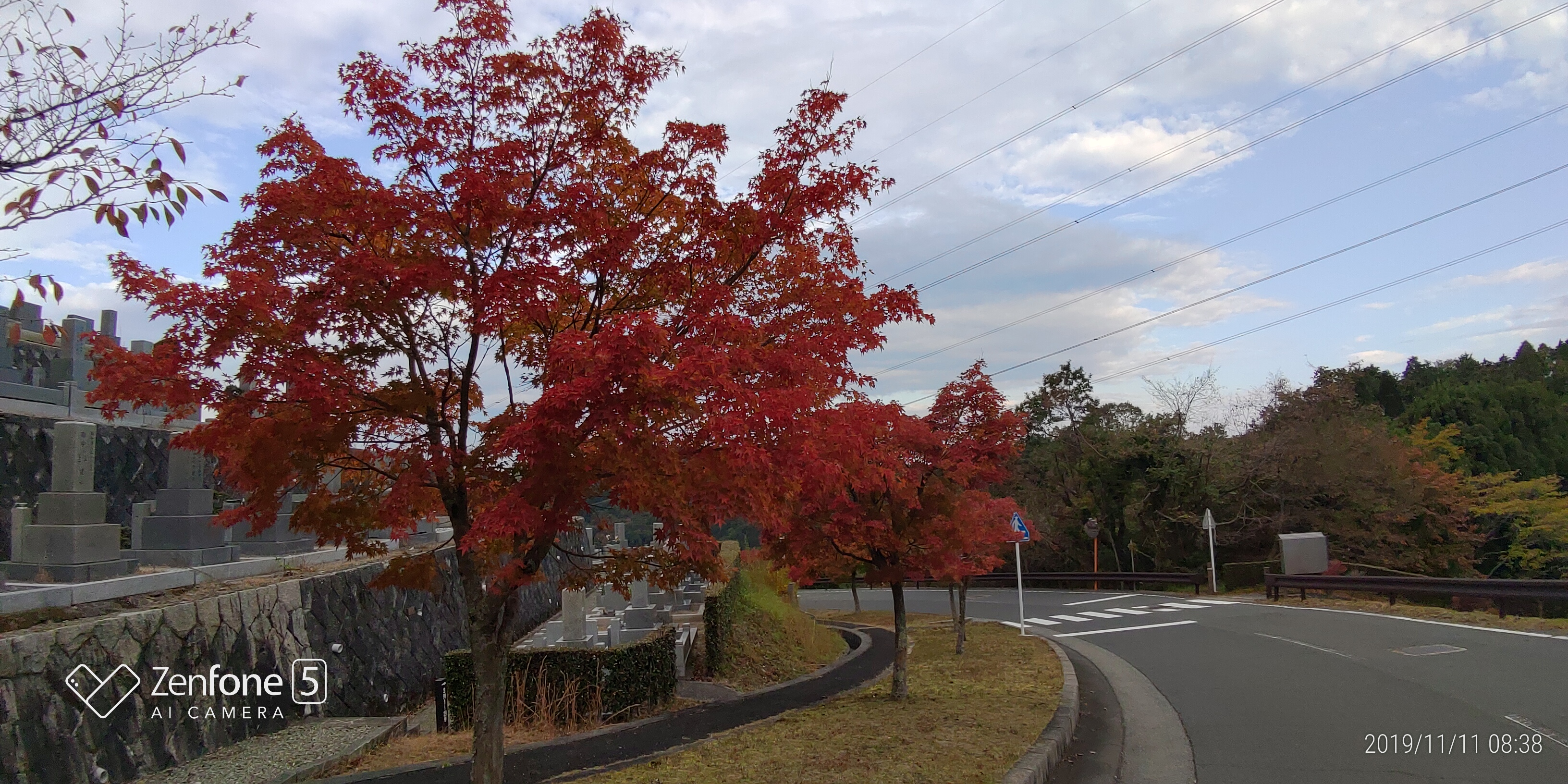 8区バス停手前風景（紅葉）