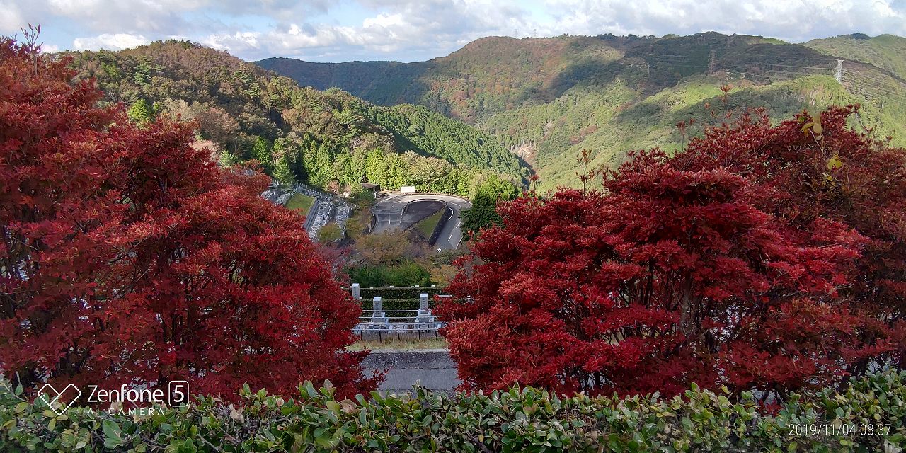 階段墓域・6区5番墓所~6区バス停方向