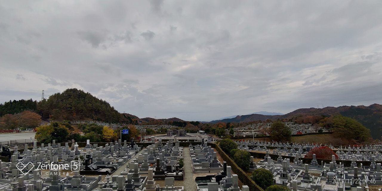 11区7番からの園内南西風景