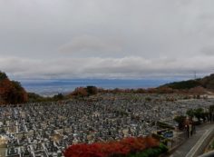 11区1番ボス雄から園内南風景