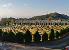 芝生墓域・11区2番芝生墓所~園内風景