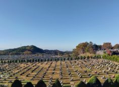 11区2番芝生墓所~園内風景