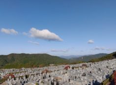 11区7番墓所から園内北風景