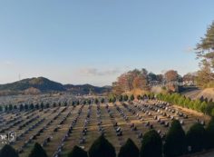 11区2番芝生墓所からの風景（南西方向）