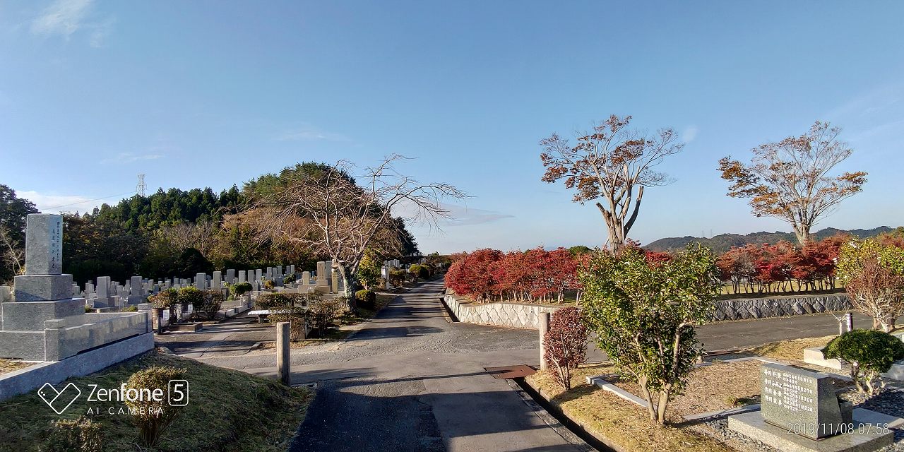 臨時駐車場~1区10番枝道風景（ドウダンつつじ）