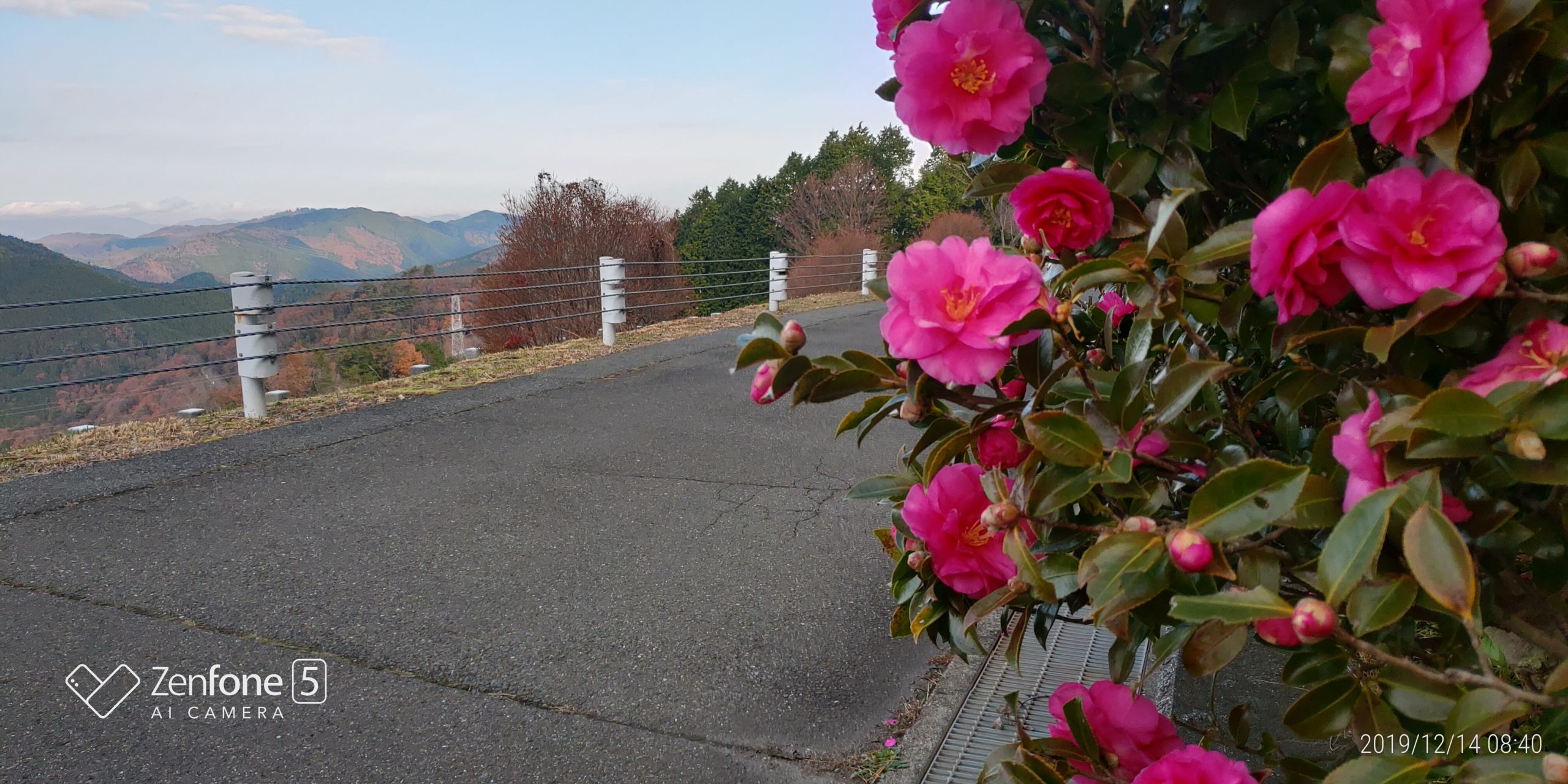 7区7番上段駐車場（山茶花）