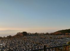 11区1番墓所から園内南風景