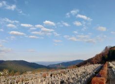 11区7番墓所からの風景②