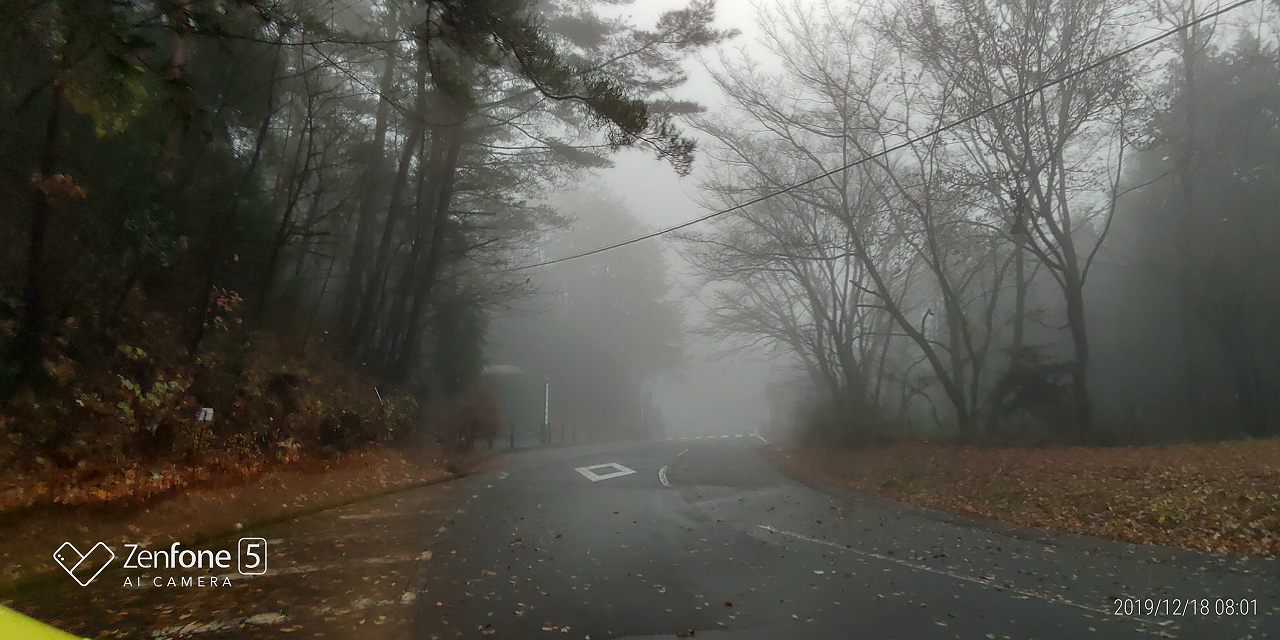 マス通り・八天の森バス停風景