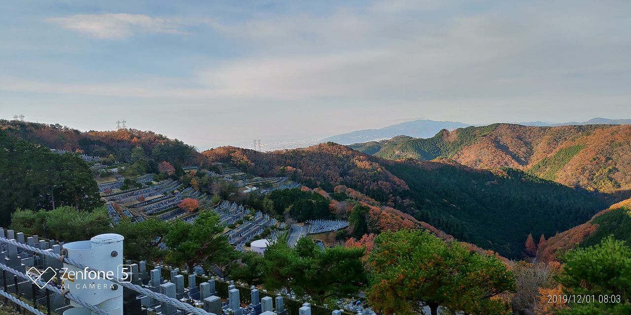 8区4/5番枝道～階段墓所風景