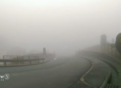北入口からの園内　濃霧