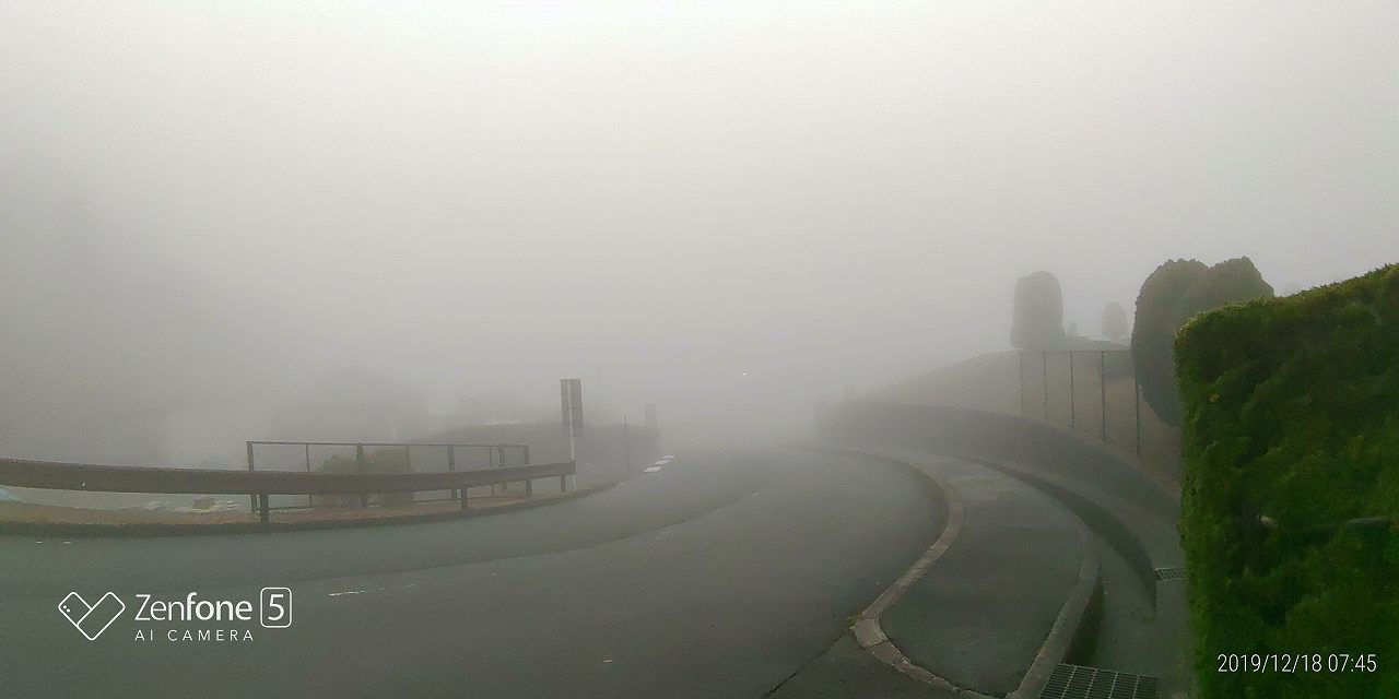北入口からの園内　濃霧