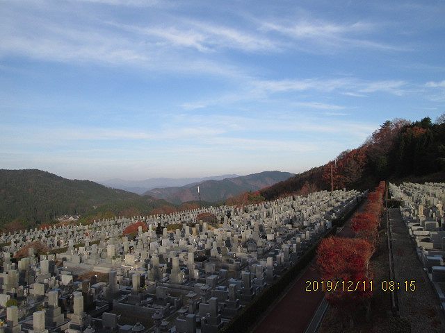 11区7番からの園内北風景