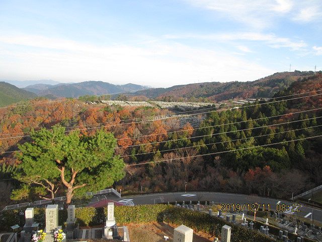 8区4番枝道駐車場~風景