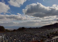 11区1番墓所から園内風景①