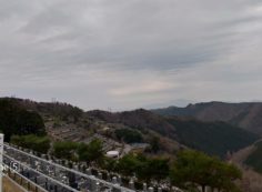 8区4/5番枝道から階段墓域風景