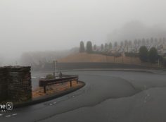 北入口から園内風景　濃霧