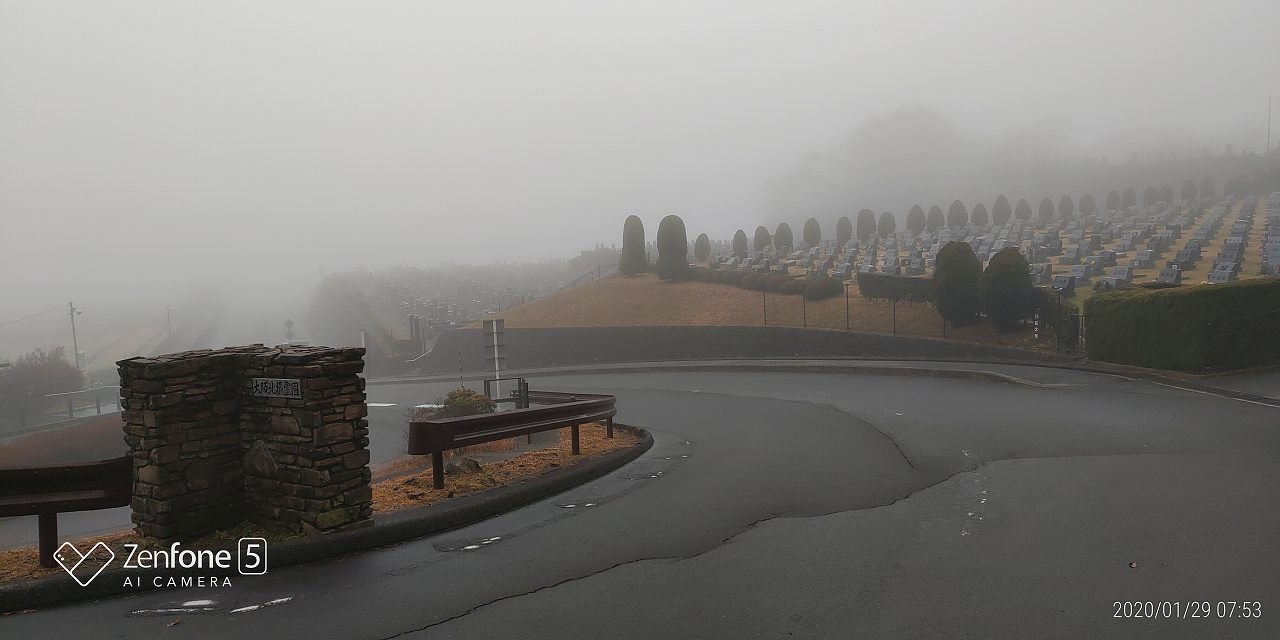 北入口から園内風景　濃霧