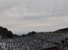 11区1番墓所から園内風景（南方向）