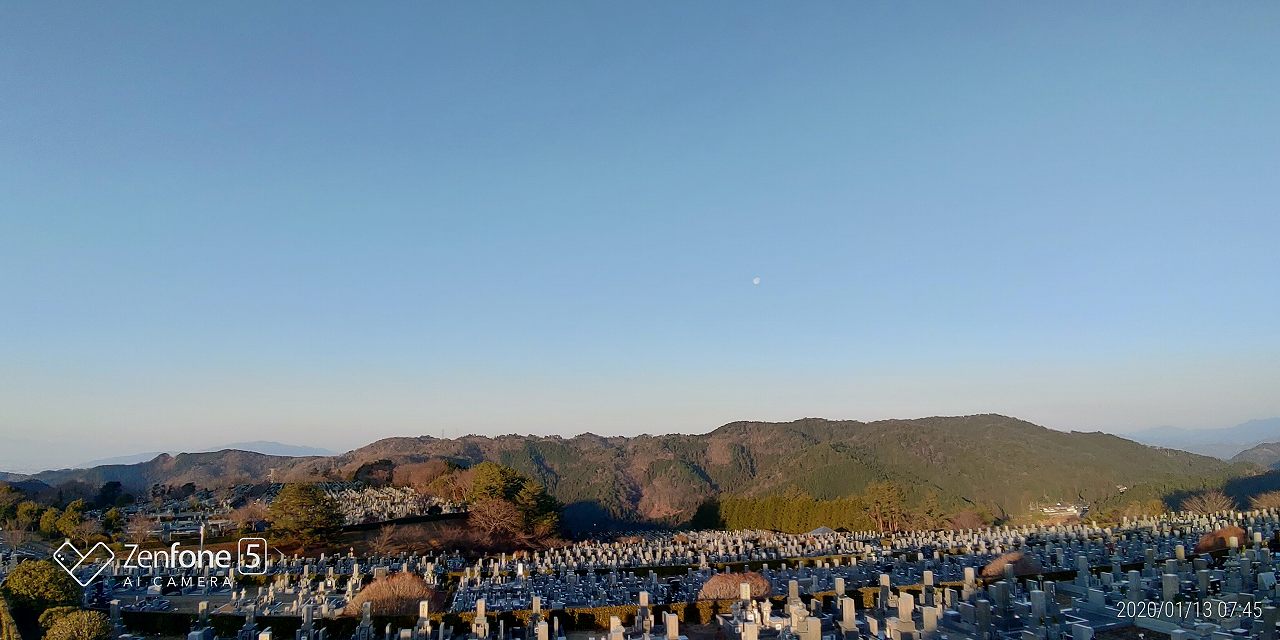 11区7番から園内風景（西方向）