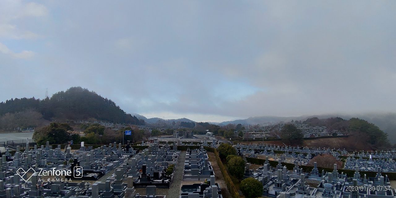 11区7番からの園内（南西）風景