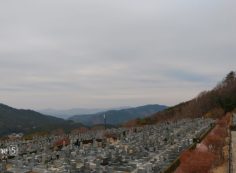 11区7番墓所から園内風景（北方向）