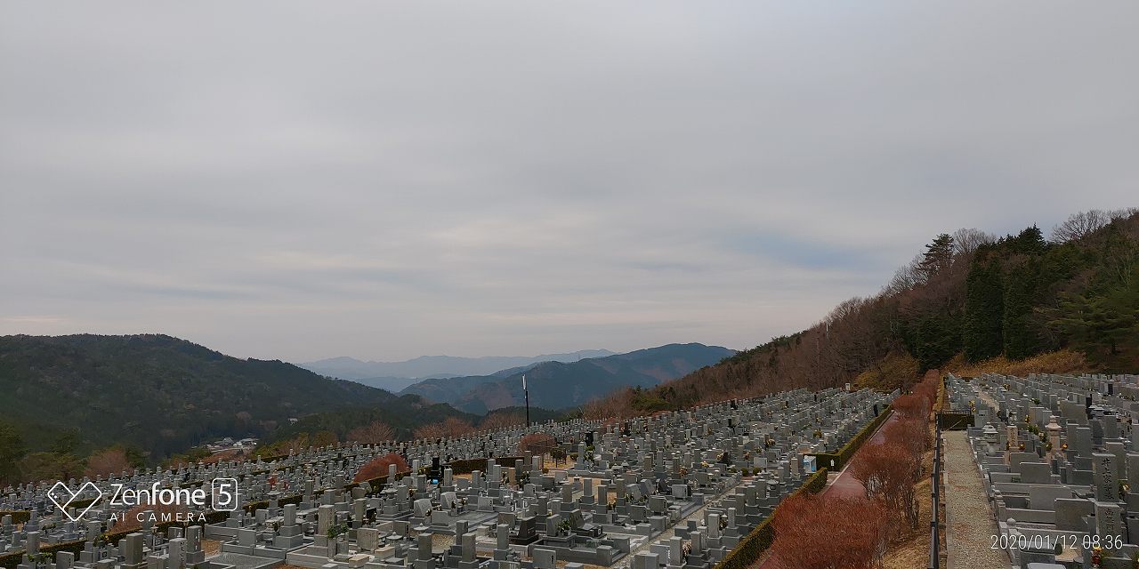 11区7番墓所から園内風景（北方向）