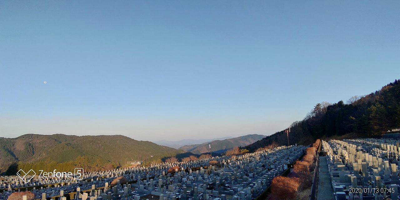 11区7番から園内風景（北方向）