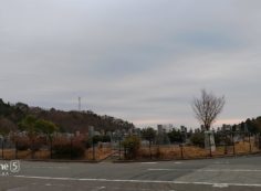 11区7番墓所から園内風景（東方向）