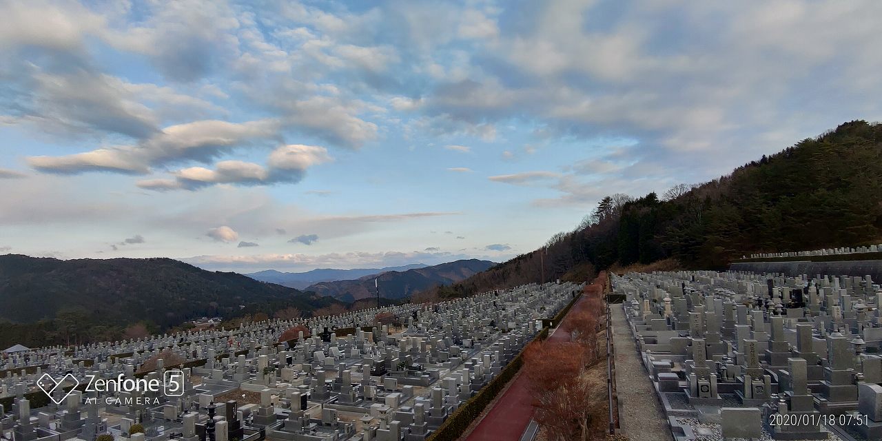 11区7番からの園内風景（北方向）