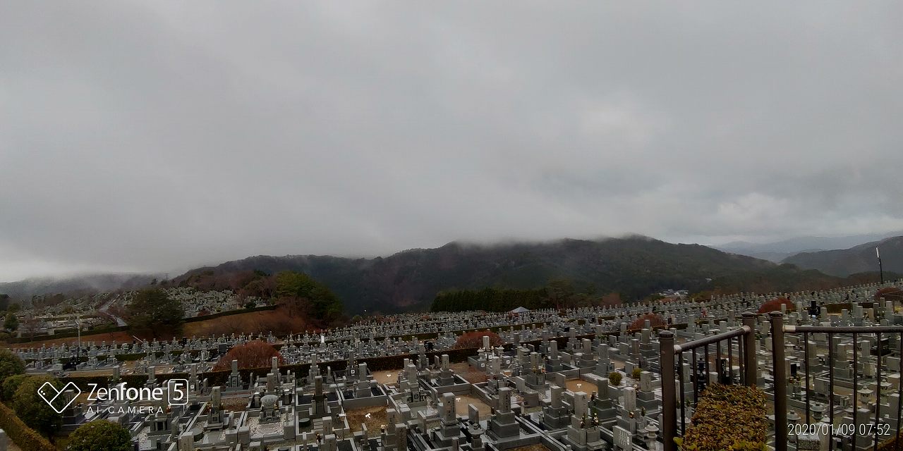 11区7番から園内風景（西方向）