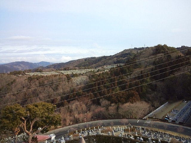 8区4番枝道駐車場から園内風景