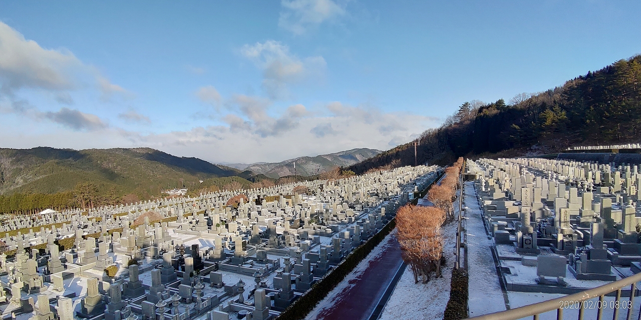 11区7番墓所から園内（北）風景