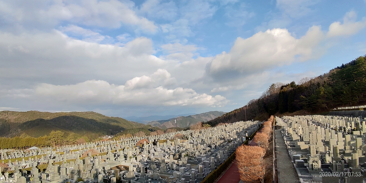 11区7番墓所から園内（北向き）風景