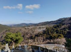 8区4番枝道駐車場から園内風景