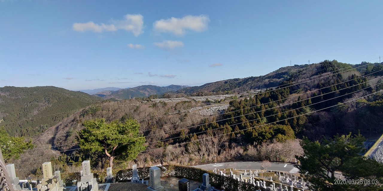 8区4番枝道駐車場から園内風景